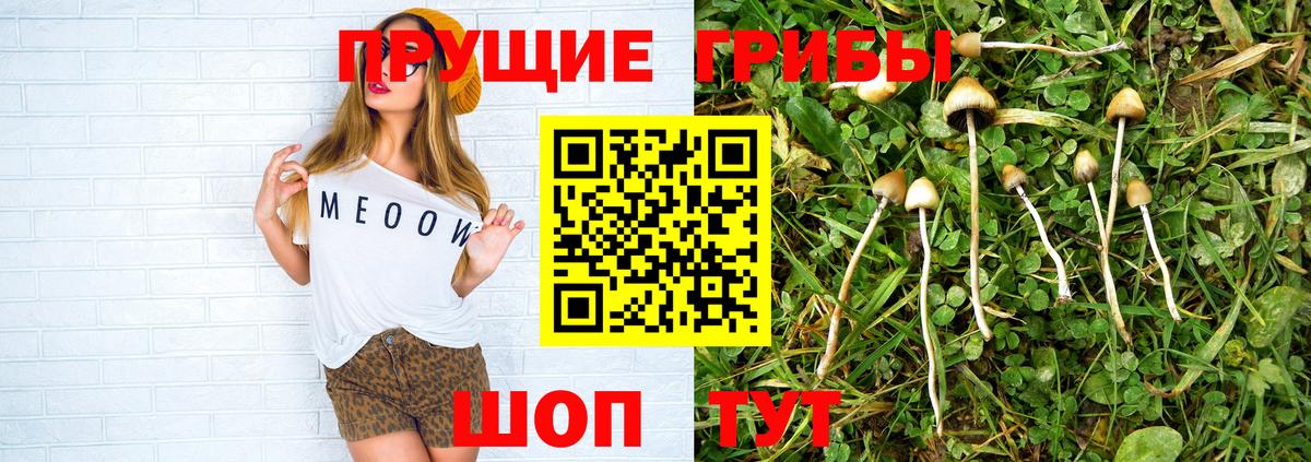 магазин продажи   Псилоцибиновые грибы Psilocybe  Вход с VPN  Пятигорск 