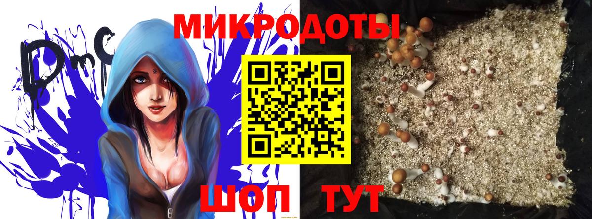 Галлюциногенные грибы Magic Shrooms Пятигорск